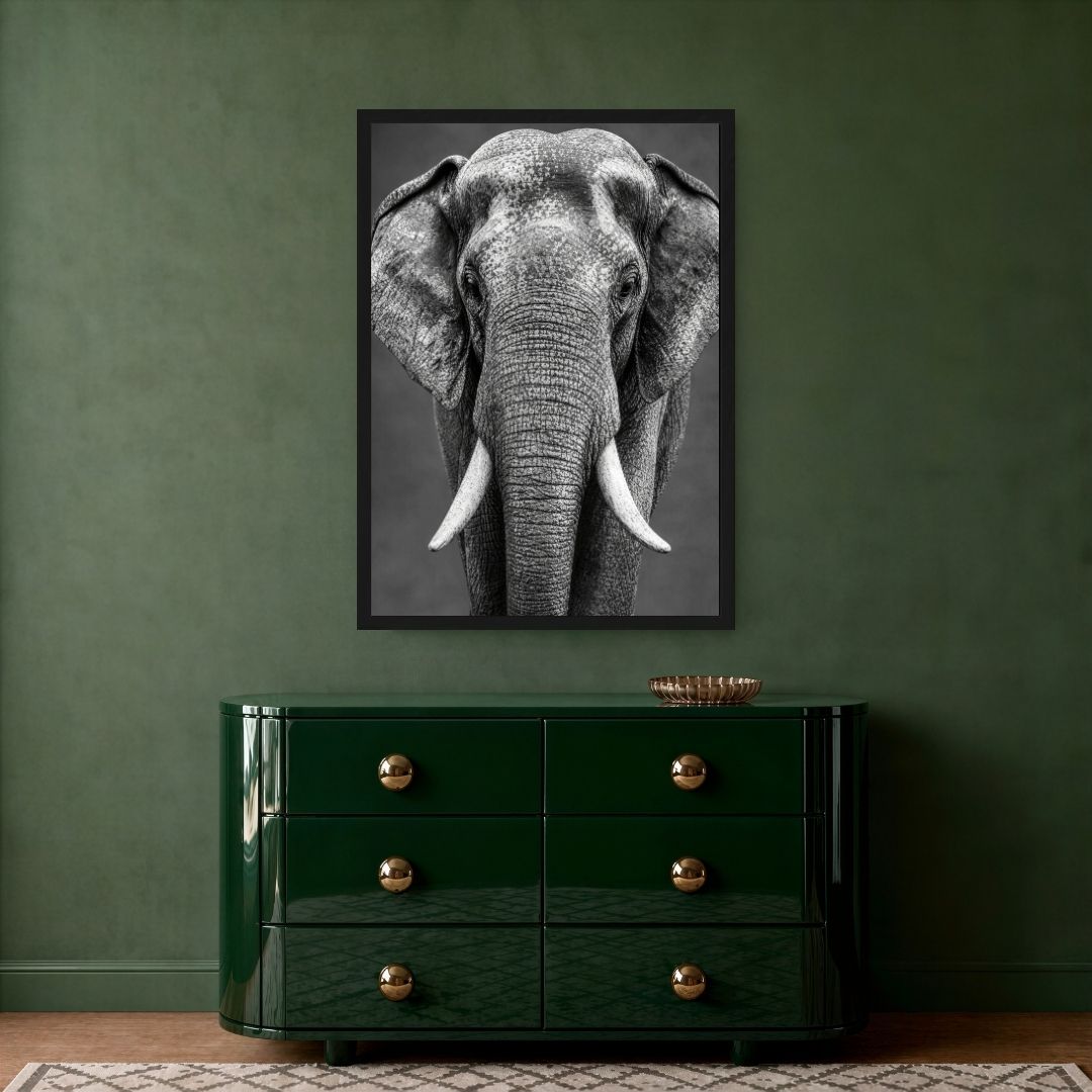 Elephant Look
