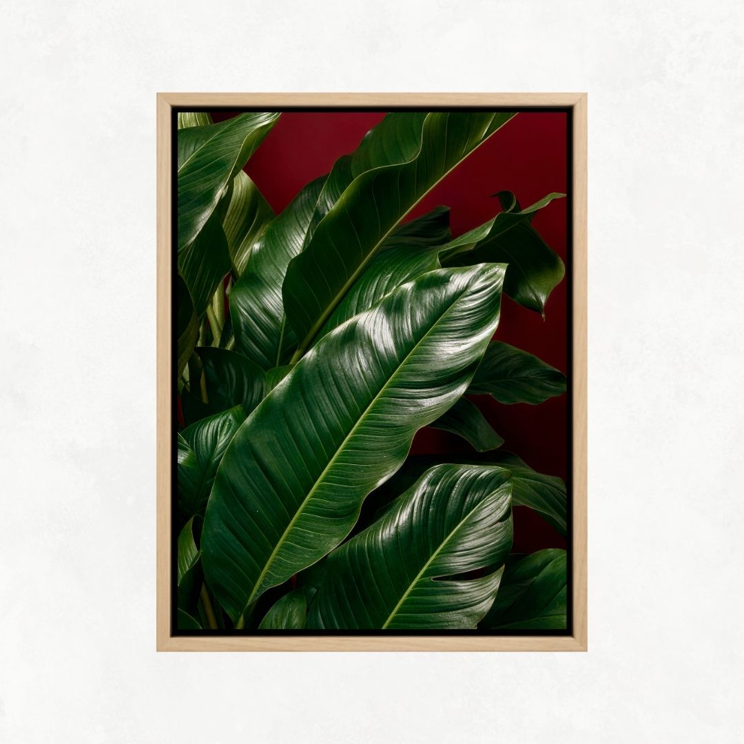 Plants with Red Background