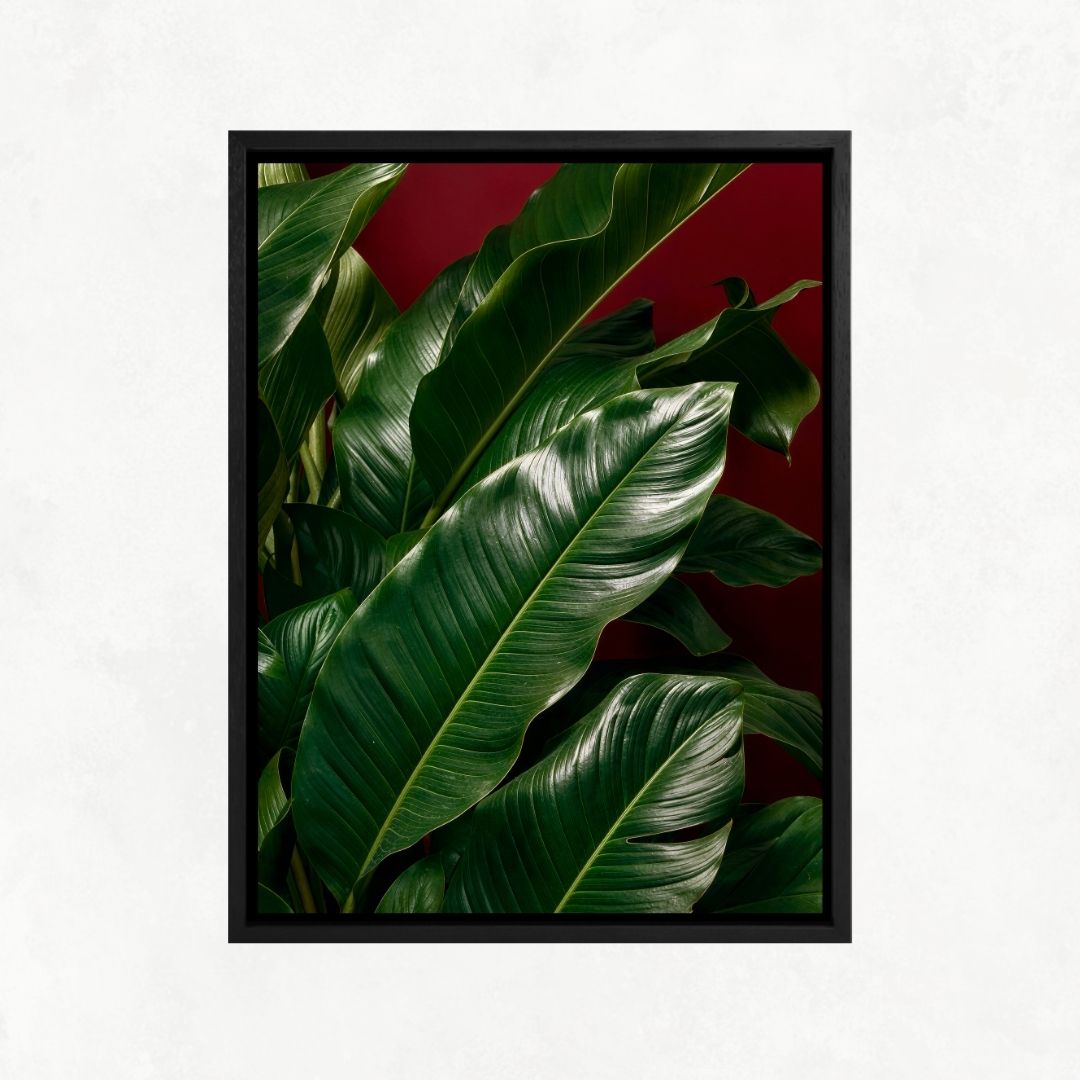 Plants with Red Background