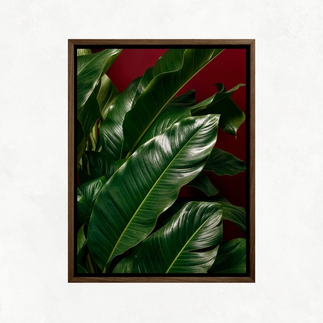 Plants with Red Background