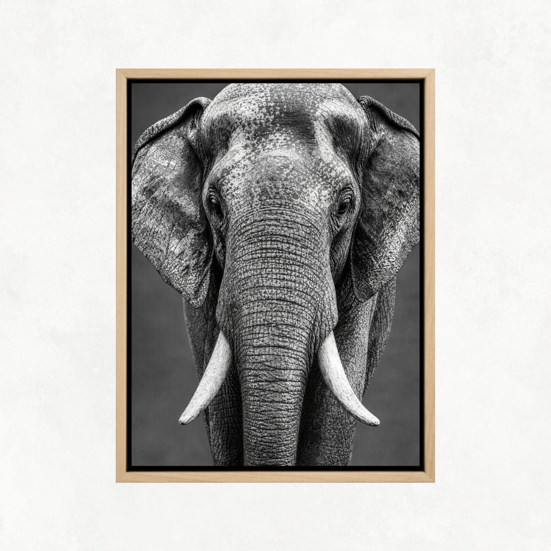 Elephant Look