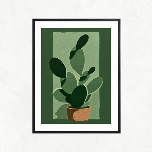 Aesthetic Cactus
