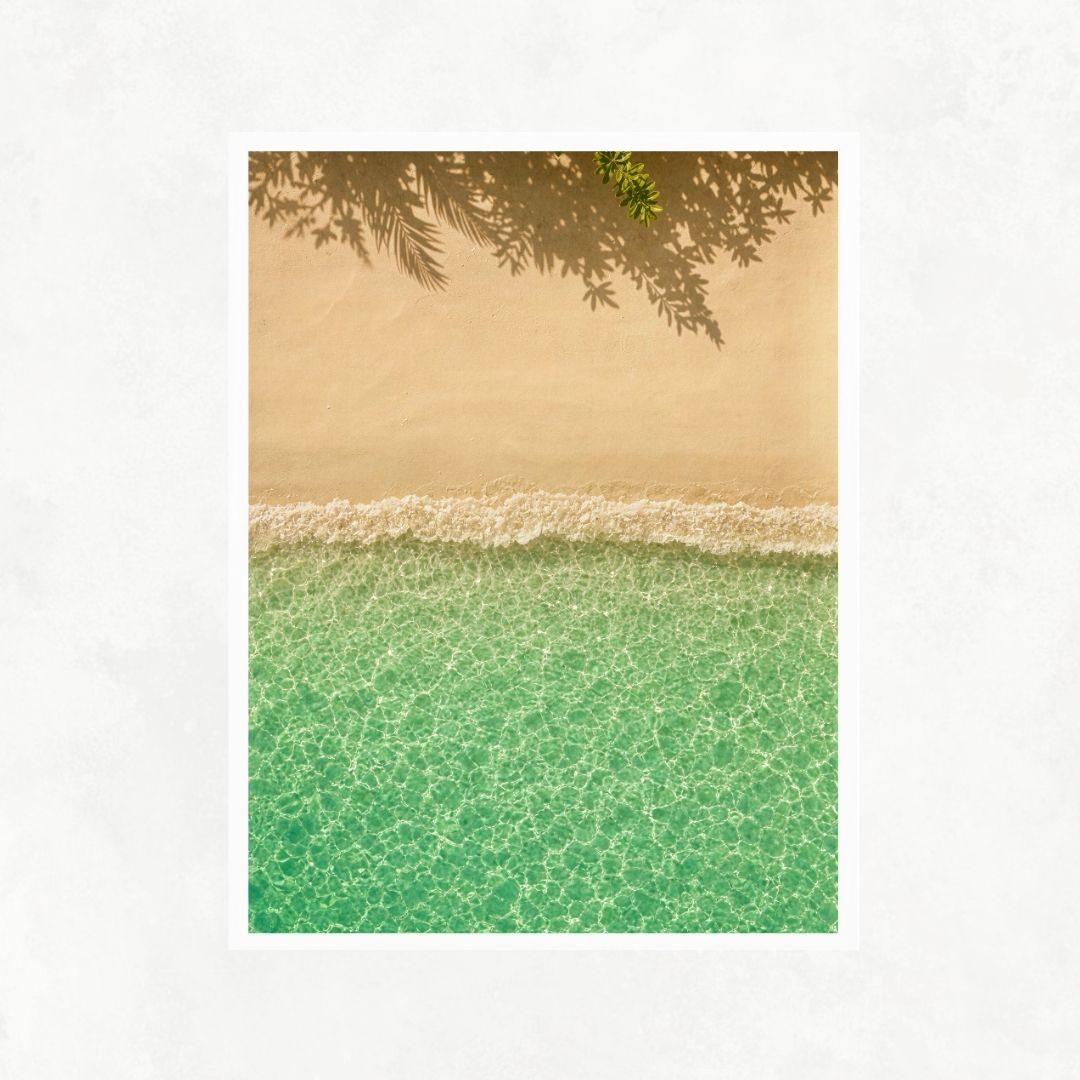 Seashore