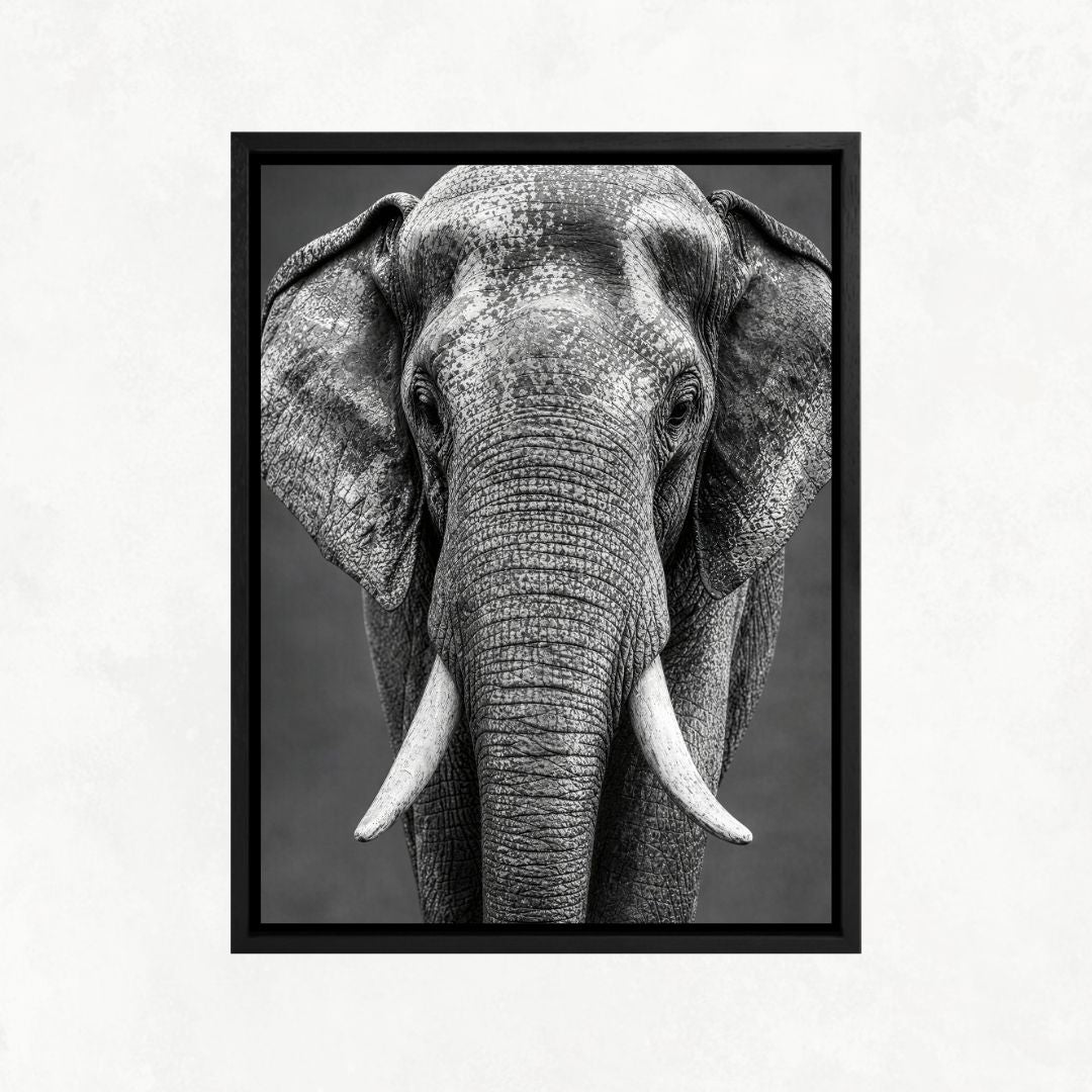 Elephant Look