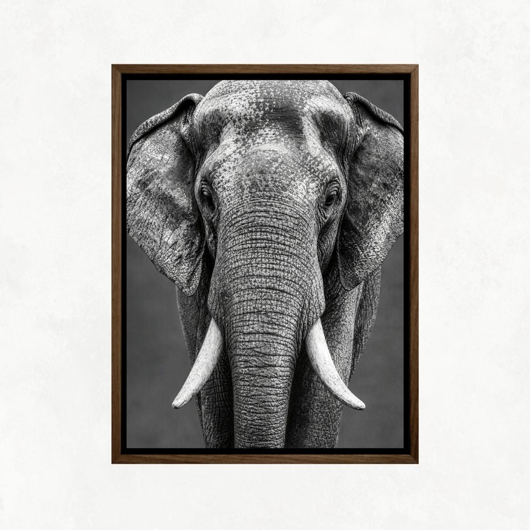 Elephant Look