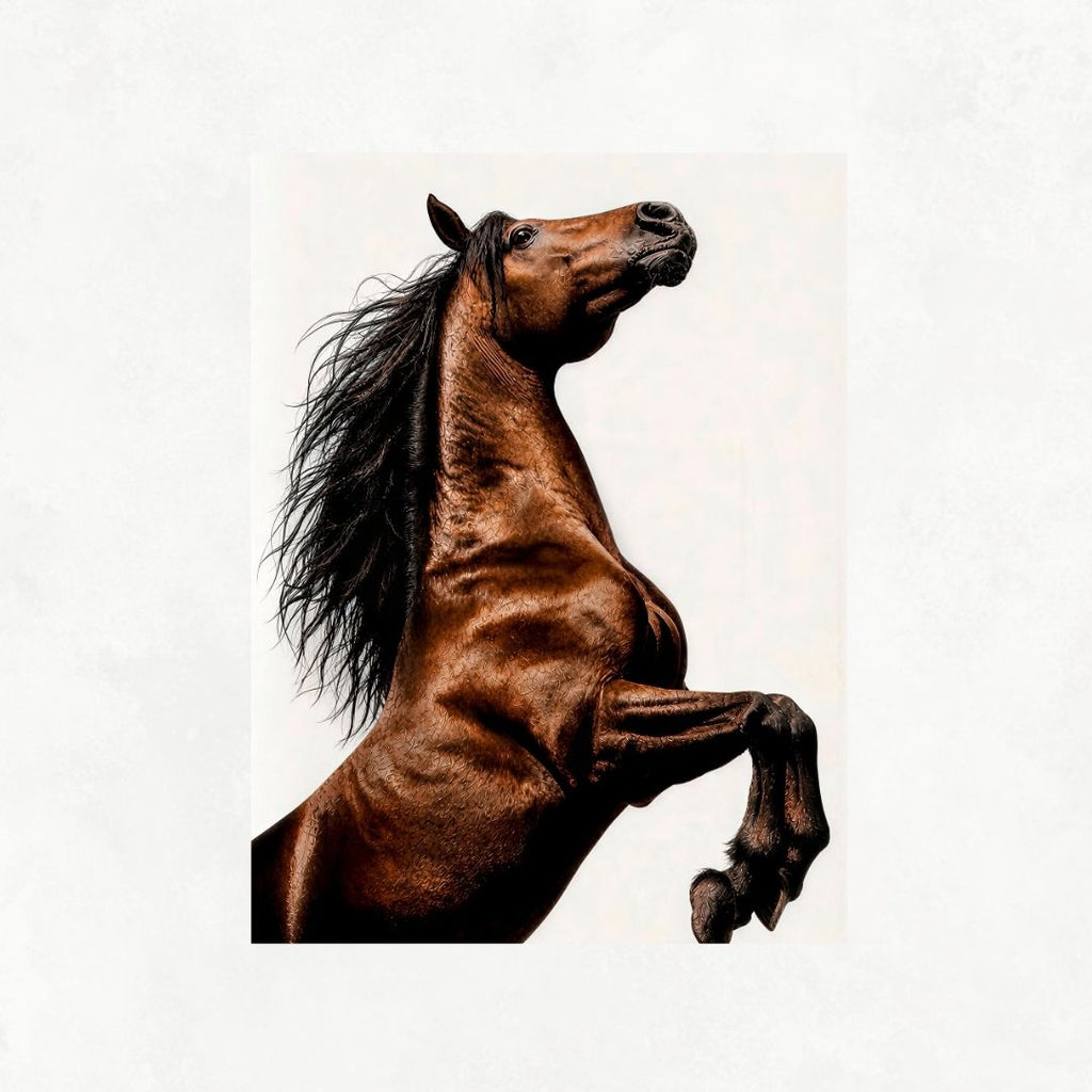 Brown Horse Rearing