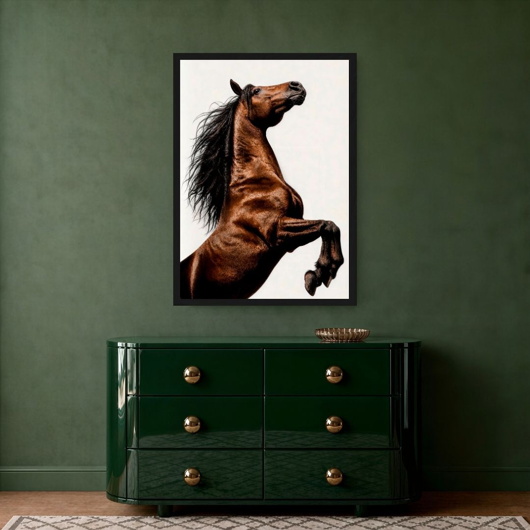 Brown Horse Rearing