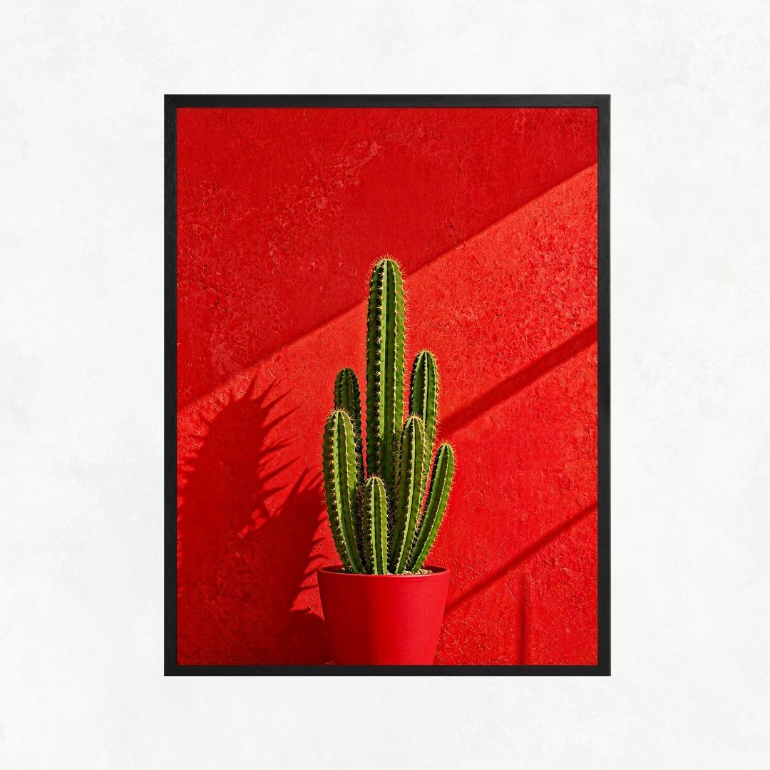 Cactus in Red