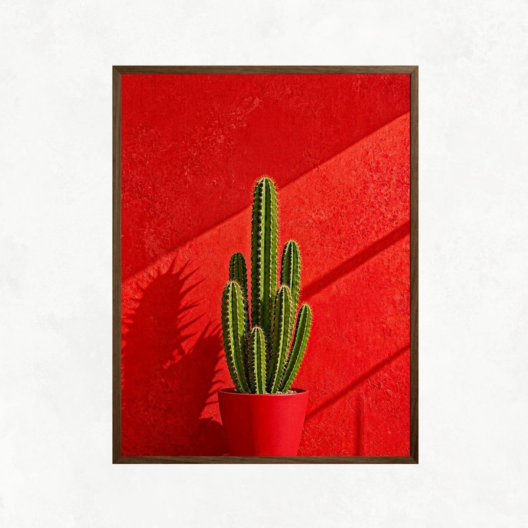 Cactus in Red