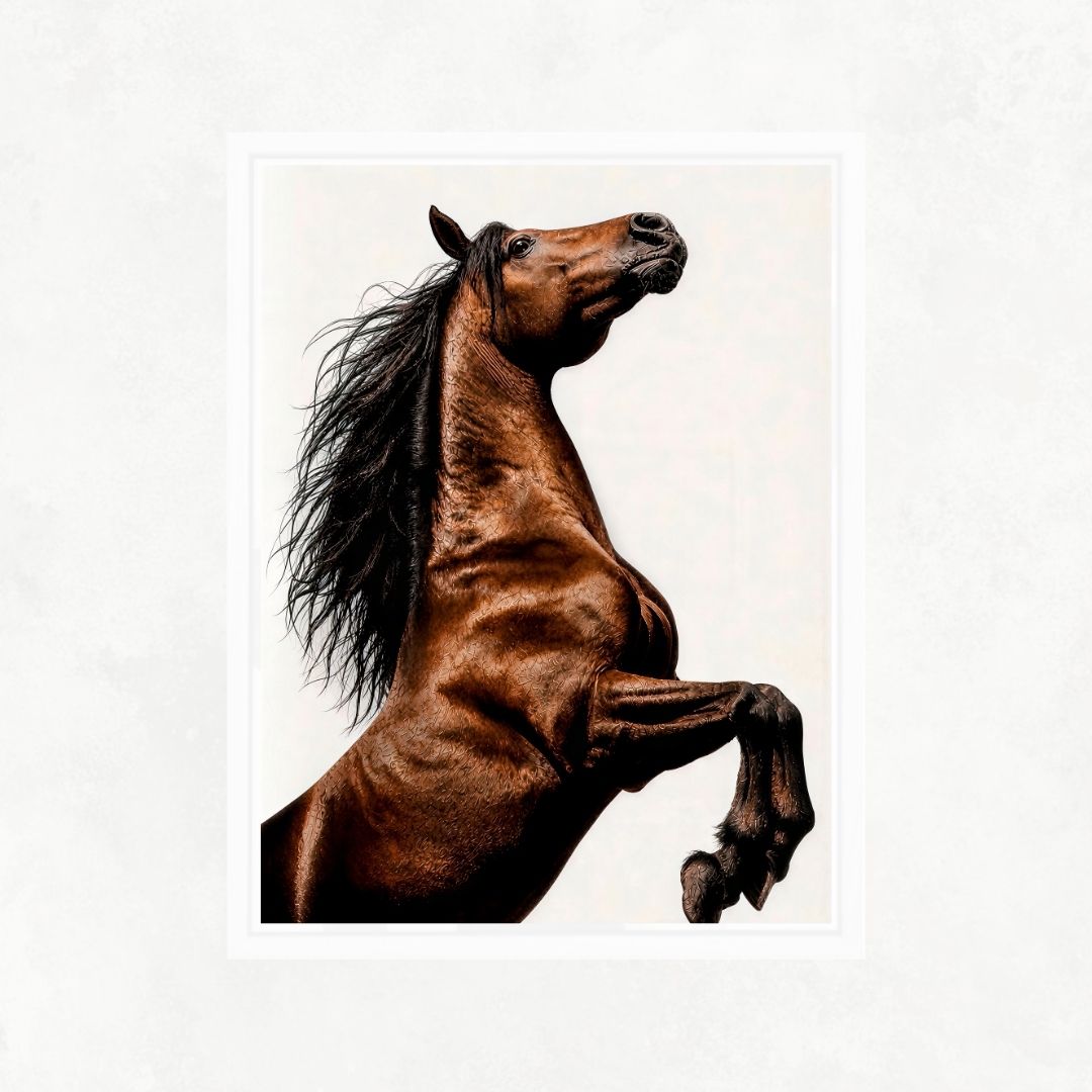 Brown Horse Rearing