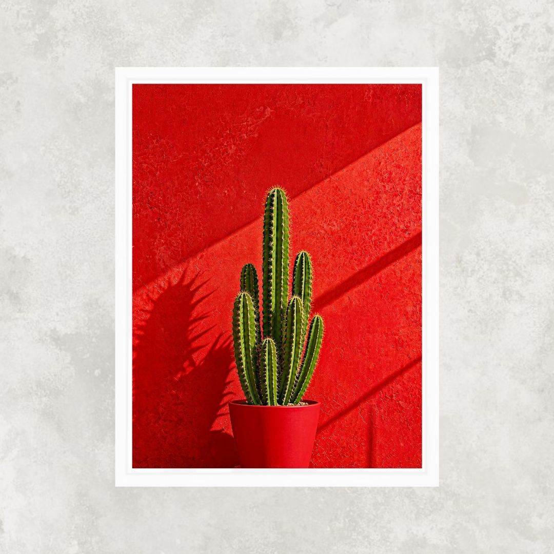 Cactus in Red
