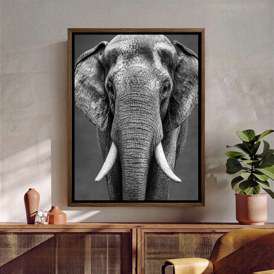 Elephant Look