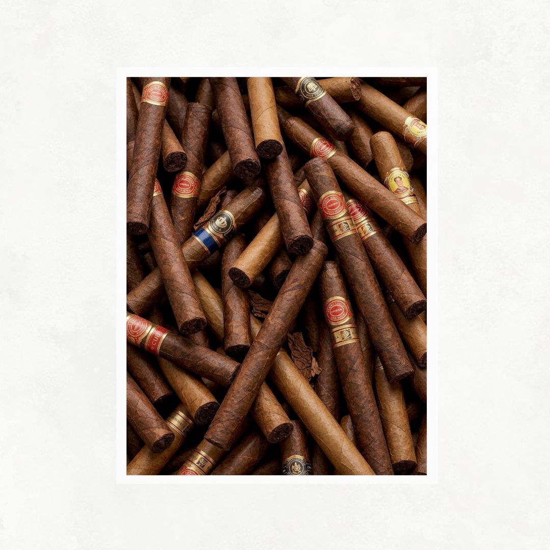 Cigar Passion
