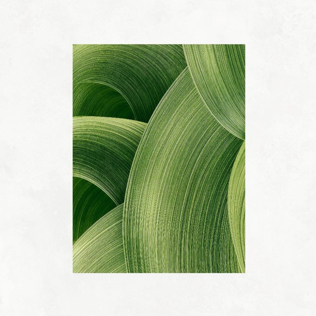 Abstract Green Shapes
