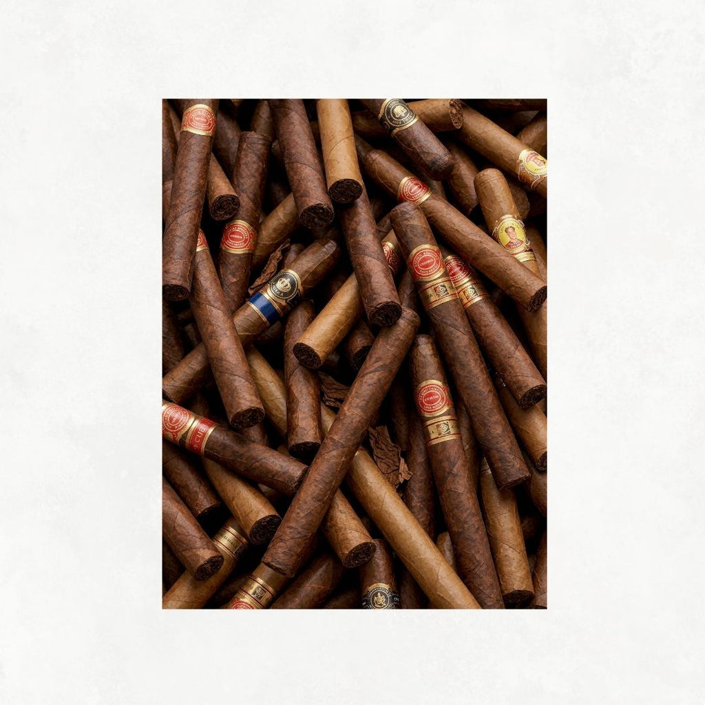 Cigar Passion
