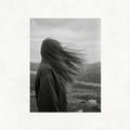 Hair in the Wind