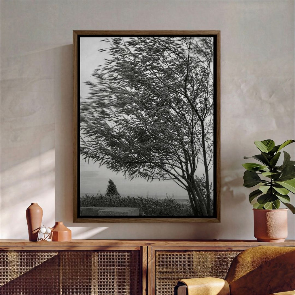 Trees in the Wind
