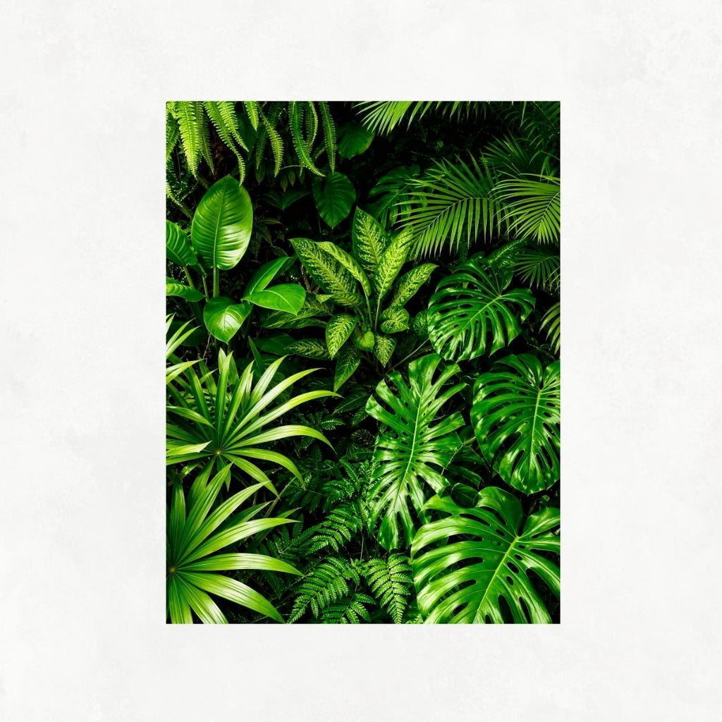 Green Leaves No2