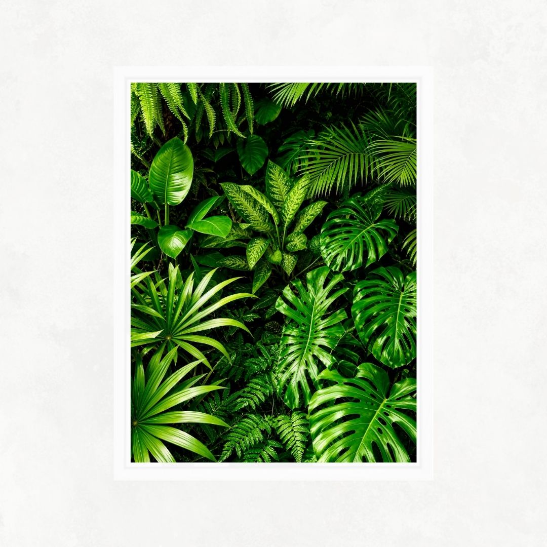 Green Leaves No2